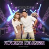 Pupusing Nelongso (feat. Erlangga Gusfian) - Single