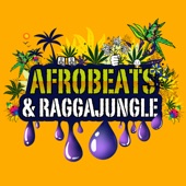 Afrobeats & Raggajungle artwork