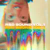 RSD SOUND vol.1 (feat. deNoOn & Rattle Skung) - Single album lyrics, reviews, download