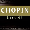 Markovics Máté - Nocturne No.2 in E major, Op. 62: Frederic Chopin