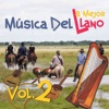 La Mejor Música Del Llano, Vol.2, 2003