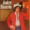 André Ricardo: Sertanejo