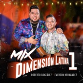 Roberto González - Mix Dimensión Latina 1: Taboga / Sigue Tu Camino / Lloraras /Pensando En Ti / El Frutero / Que Bailen To's