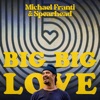 Big Big Love - Single