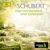 Franz Schubert - Symphony No.3 in D Major, D.200: 2. Allegretto