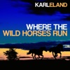 Where the Wild Horses Run - Single