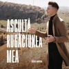 Ascultă Rugăciunea Mea - Single