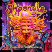 Shpongle - How the Jellyfish Jumped up the Mountain