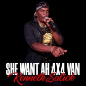 SHe Want Ah 4x4 Van artwork