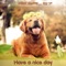 Have a Nice Day - Resal 57 lyrics