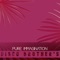 Pure Immagination (Extended Mix) - Disco Brothers lyrics