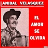 El Amor Se Olvida