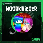 Noobkrieger (Timmi Disstrack) artwork