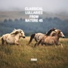 WHOLE NOTE - Beethoven : Piano Sonata No.9 In E Major Op.14-1 - III. Rondo. Allegro Comodo