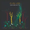 Evolver