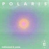 Polaris (Indieveed Remix) artwork
