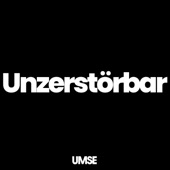 Unzerstörbar (feat. Masta Ace) artwork