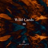 Wild Cards 20 - Single