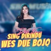 SING DIRINDU WES DUWE BOJO - Single, 2023