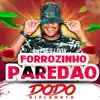 Forrozinho Paredão song lyrics