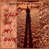 Walk on My Own