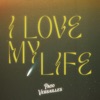 I Love My Life (Vandelux Remix) - Single