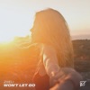 Won't Let Go - Single