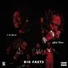 Big Faxts (feat. Flo Malcom) - Single album lyrics, reviews, download