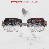 Cartier Lens artwork