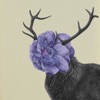 Deer Hana - Single