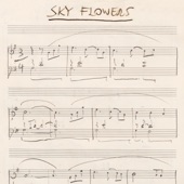 Sky Flowers artwork