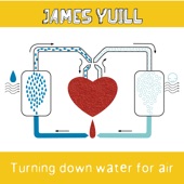 James Yuill - This Sweet Love