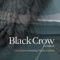 Black Crow (feat. Natalie Gelman) - Guy Jackson lyrics