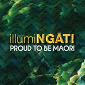 Proud to be Maori artwork