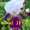 Steven J. - What If ?