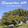 Droit comme un arbre (feat. tryo) - Single