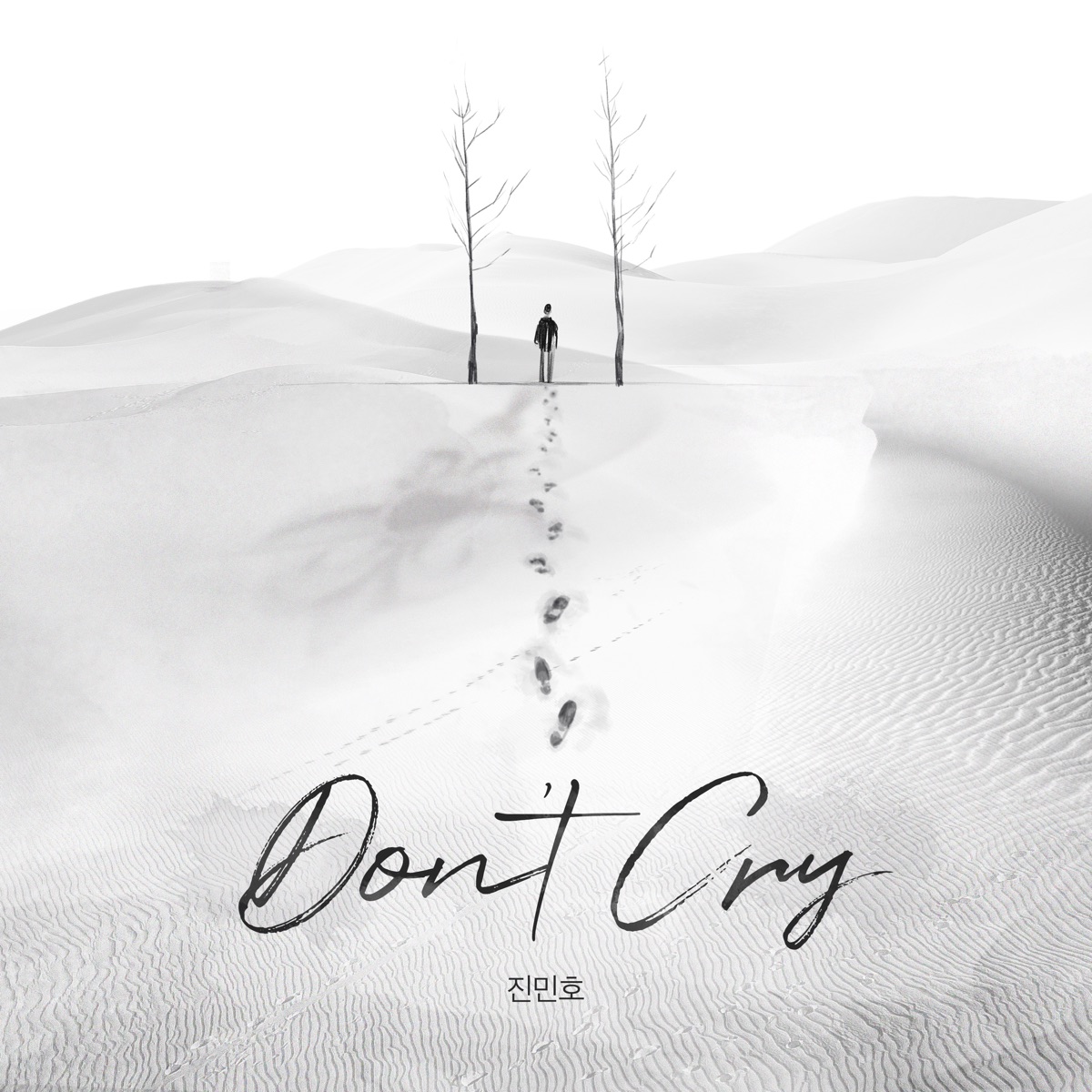 Jin Min Ho – Don’t Cry – Single