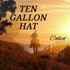 Calico - Ten Gallon Hat