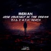 Lose Yourself in the Dream (D.j.g. & M.i.k! Remix) - Single