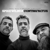 Spike Wilner Trio - If You Are But A Dream