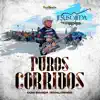 Puros Corridos Con Banda Sinaloense album lyrics, reviews, download