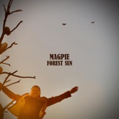 Forest Sun - Magpie