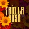 Trío La Rosa