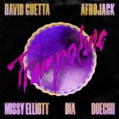 Trampoline (feat. Missy Elliot, Biá & Doecchi) artwork