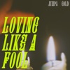 Loving Like a Fool - Single