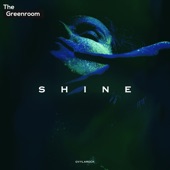 Shine artwork