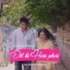 Dil Ki Hera Pheri - Single