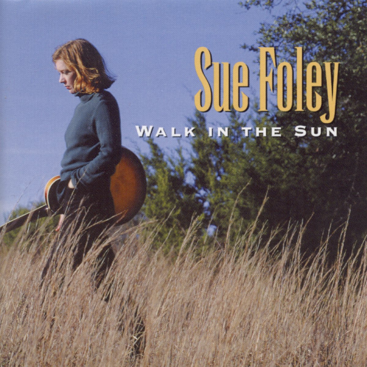 Sue Foley. Walk in the Sun. Обложка для mp3 689. Sue Foley - Plank spank. Sue Foley - but i forgive you.