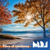 Piece of Goodness - Single
