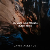My Vibes, Your Feelings (Remix) artwork